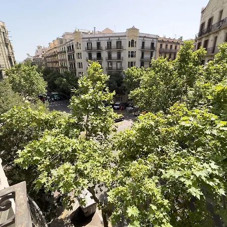 Coimpact Coliving Mallorca Барселона