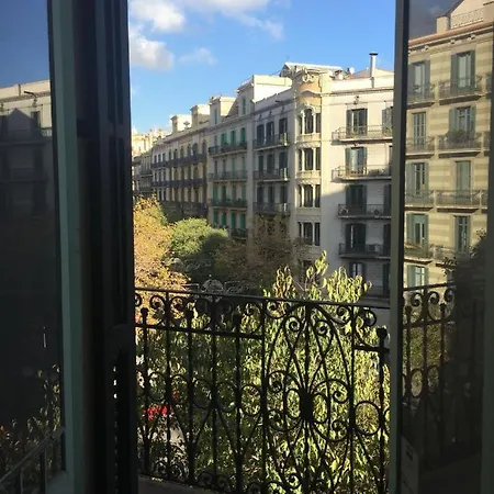 Coimpact Coliving Mallorca מלון