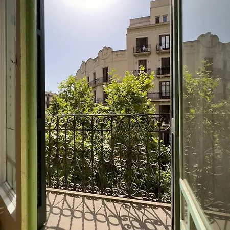 Coimpact Coliving Mallorca מלון *
