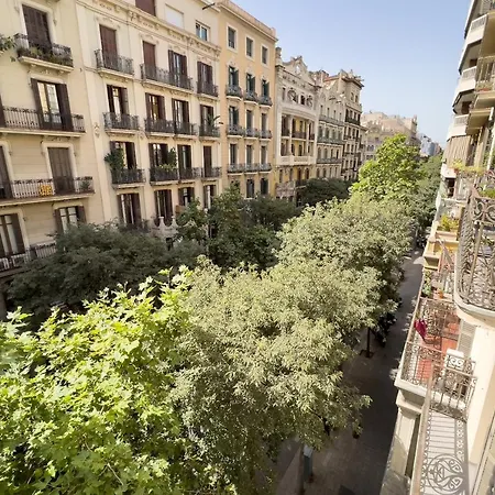 Coimpact Coliving Mallorca Hostal *