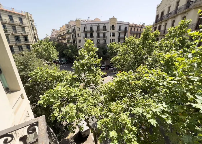 Coimpact Coliving Mallorca Barcelona
